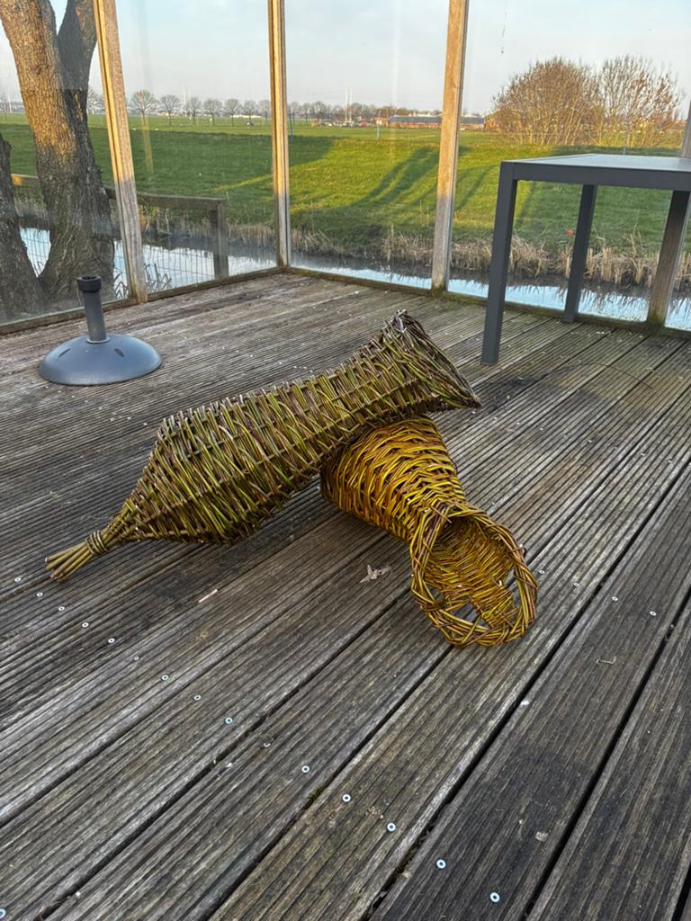 1 Gezellige eendenmand voor in de tuin🦆, Overige soorten, Tam, 11 jaar of ouder