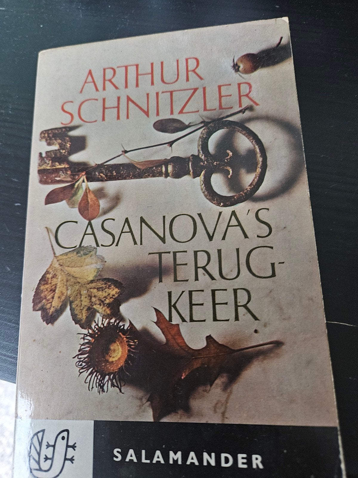Casanova's Terugkeer - Arthur Schnitzler (Salamander), Ophalen of Verzenden, Gelezen, Arthur Schnitzler, Nederland
