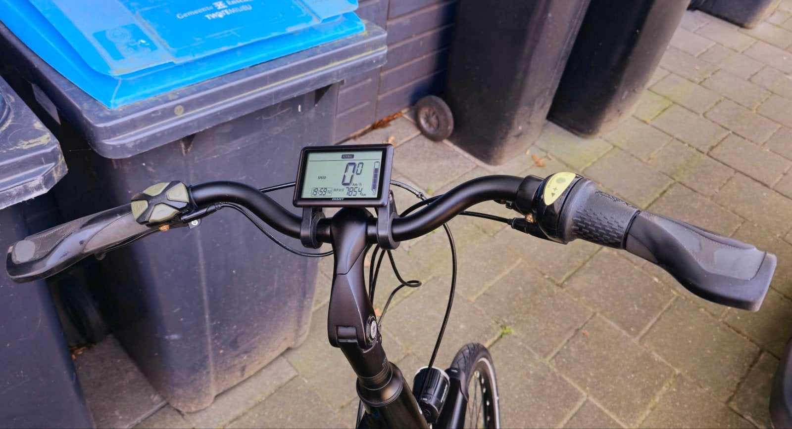 Giant Entour dames elektrische Yamaha, 51 tot 55 cm, Ophalen, Overige merken