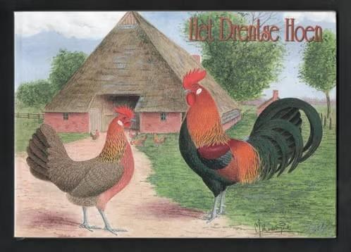 Boek Het Drentse Hoen, Kippen. Van Gink., Ophalen of Verzenden, Zo goed als nieuw