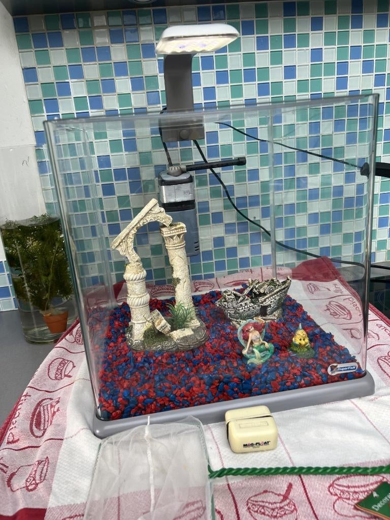 Mini aquarium met toebehoren, Dieren en Toebehoren, Vissen | Aquaria en Toebehoren, Ophalen, Gebruikt, Leeg aquarium, Superfish