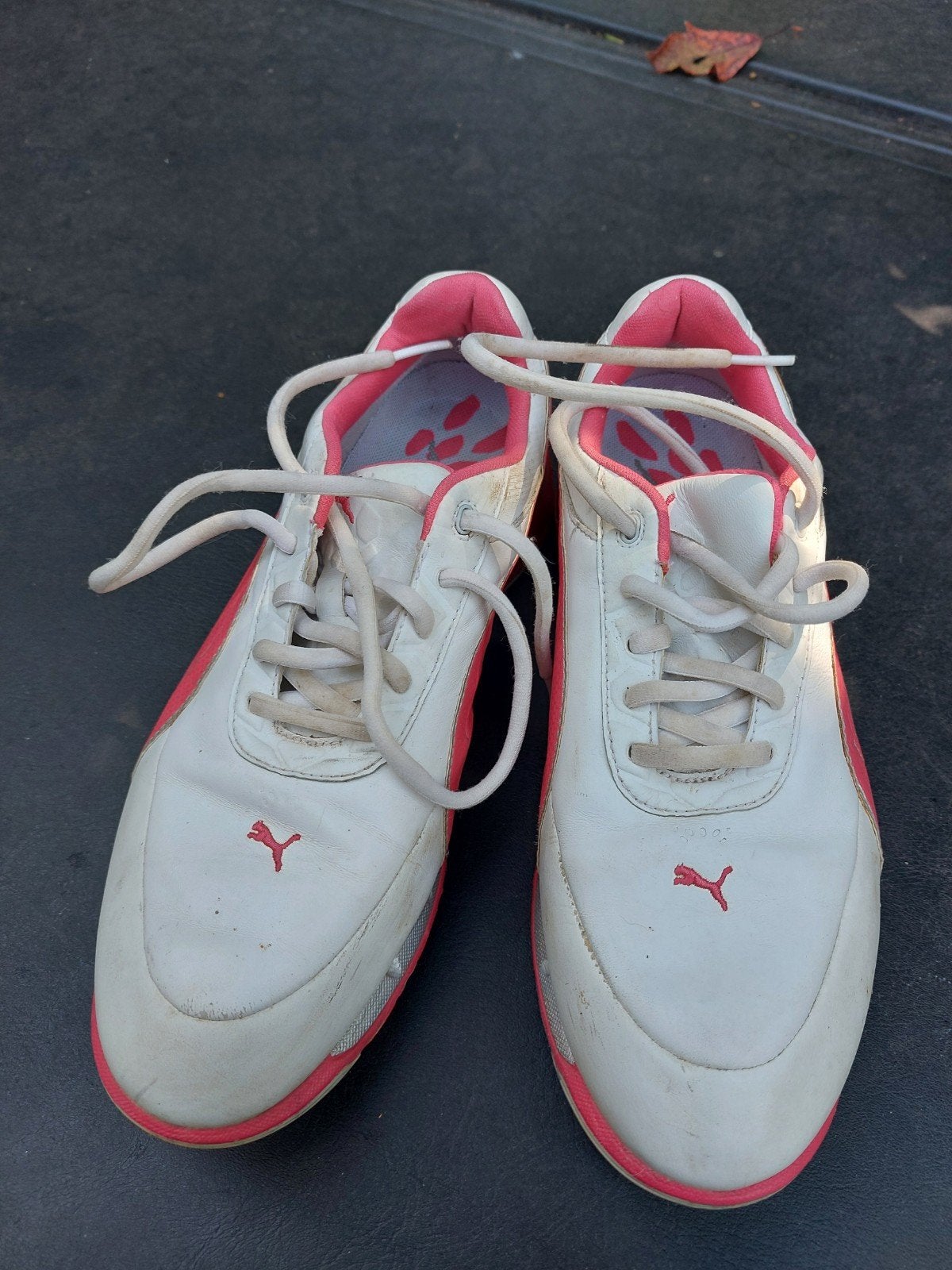 Puma golfschoenen dames - wit/roze maat 39, Ophalen of Verzenden, Gebruikt, Schoenen, Overige merken