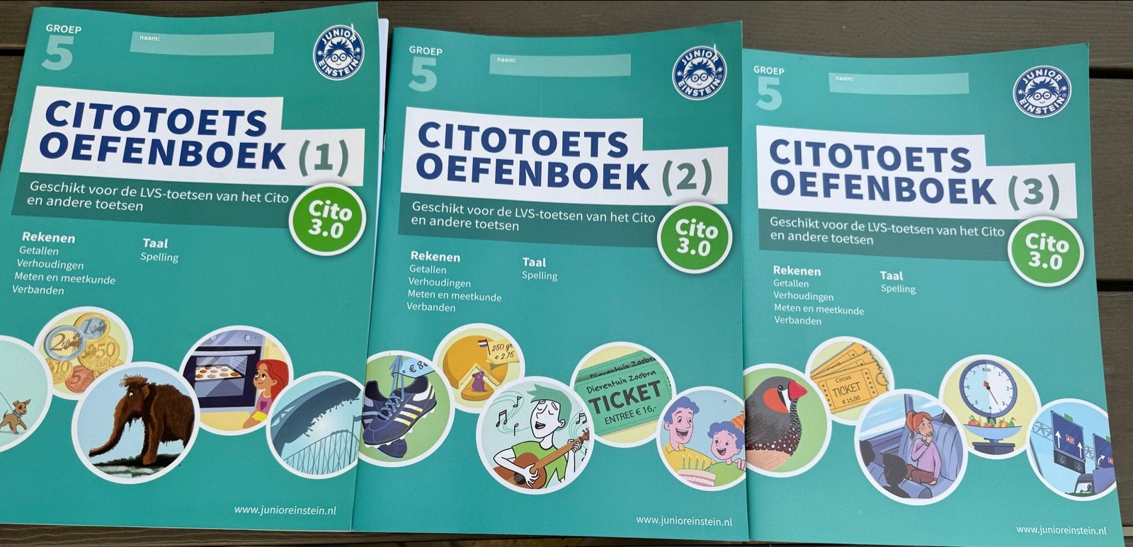 Cito Toets Oefenboeken Groep 5 (1, 2, 3) Cito 3.0, Boeken, Ophalen, Zo goed als nieuw