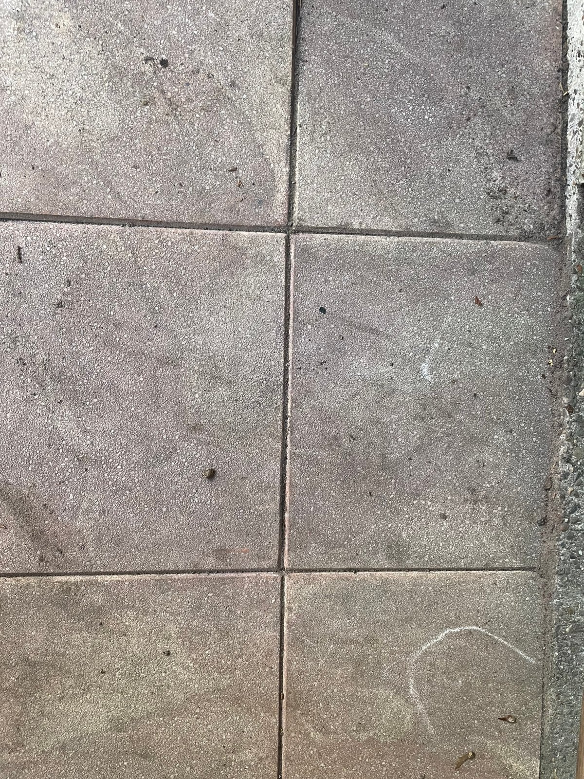 Tuintegels 150 stuks GRATIS 40x40 150 stuks (24m2), Ophalen, Gebruikt, 10 m² of meer, Beton