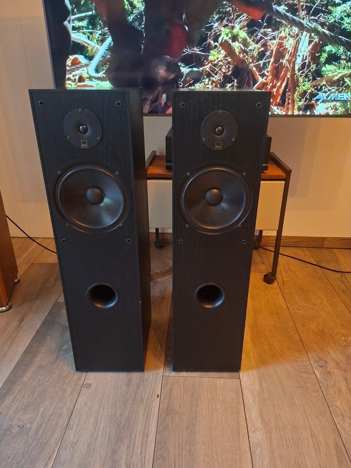 Dali AXS 5000 Vloerstaande Luidsprekers Made in Denmark, Audio, Tv en Foto, Ophalen