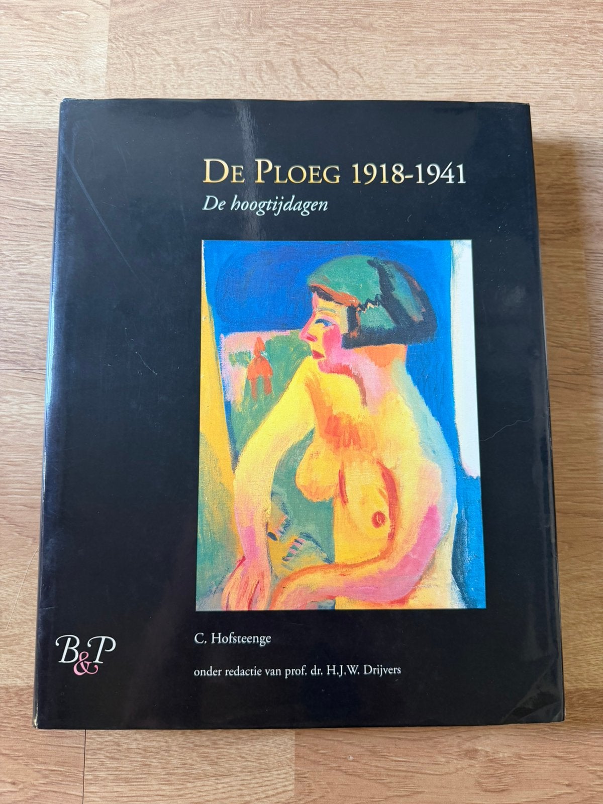 De Ploeg 1918-1941 Hoogtijdagen, Boeken, Ophalen of Verzenden, Zo goed als nieuw