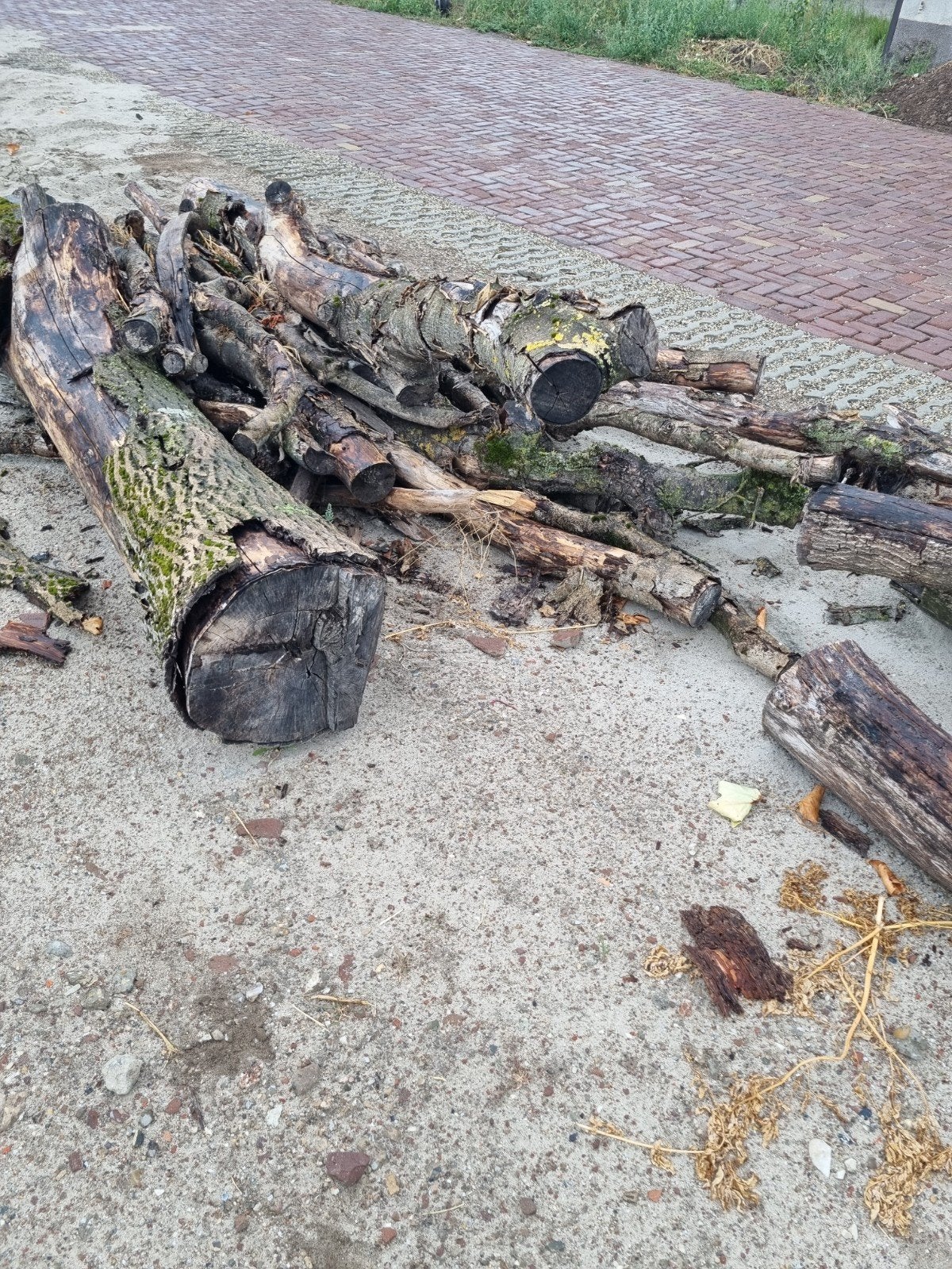 brandhout/stamhout, Tuin en Terras, Haardhout, Minder dan 3 m³, Ophalen, Overige houtsoorten, Stammen