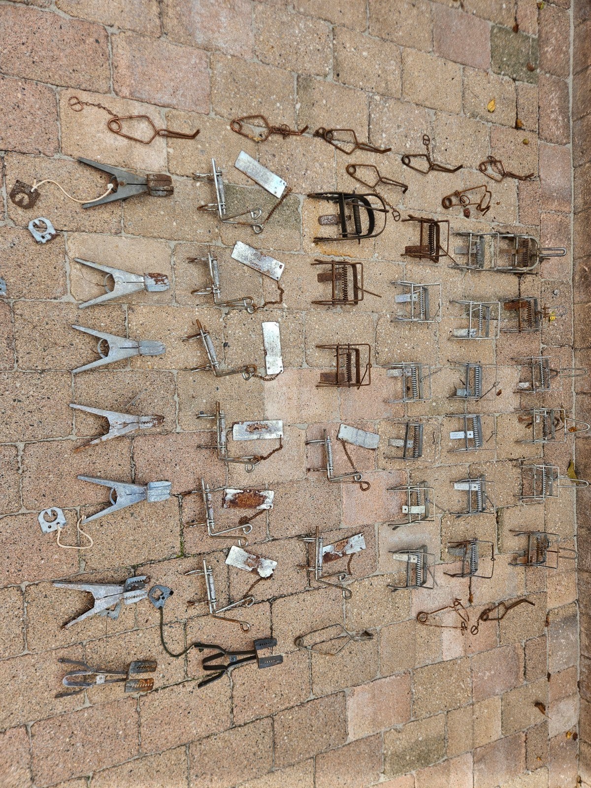 mollenklemmen 47x, Ophalen, Ongediertebestrijding