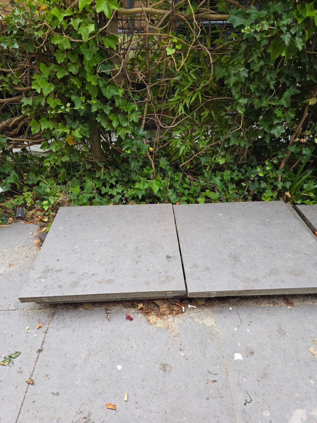 Gratis af te halen: 14 grote tuintegels 80x80 cm, Doe-het-zelf en Verbouw, Ophalen, Gebruikt, 60 cm of meer, 5 tot 10 m²