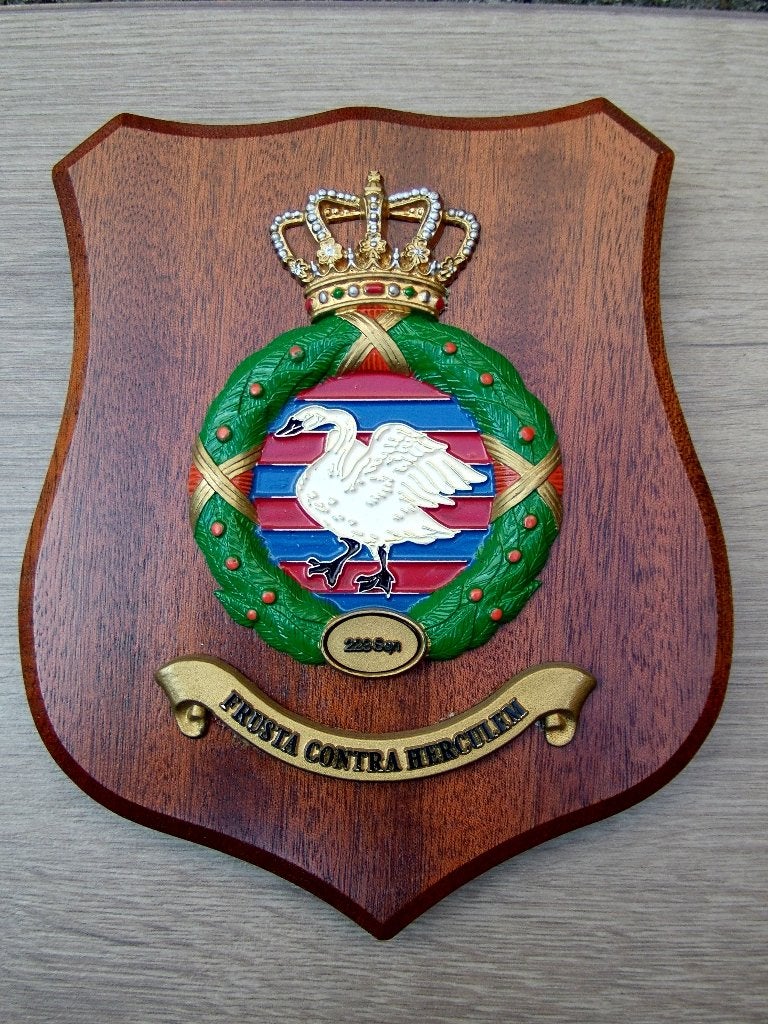 Wapenschild Koninklijke Luchtmacht 223 Squadron, Verzenden, Luchtmacht, Nederland, Overige typen