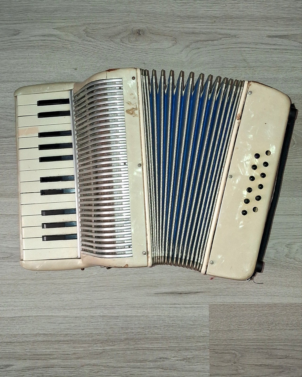 Vintage La Tosca Accordeon met Hohner koffer, Muziek en Instrumenten, Ophalen, Gebruikt, Overige formaten, Met koffer