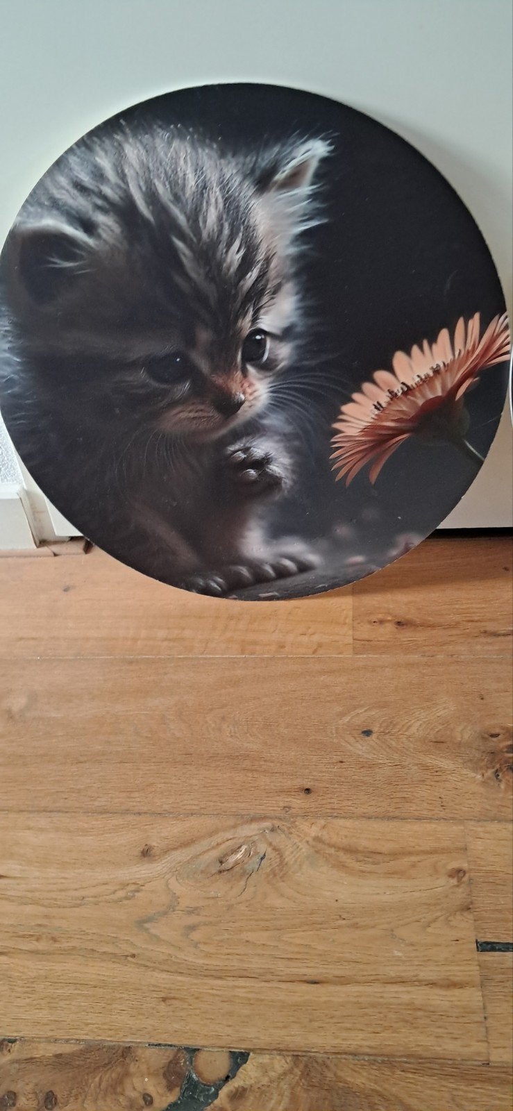 Deco Wanddecoratie:, Ophalen of Verzenden, Nieuw