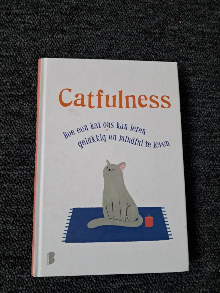 Paolo Valentino - Catfulness, Boeken, Persoonlijkheidsleer, Ophalen of Verzenden, Zo goed als nieuw, Paolo Valentino