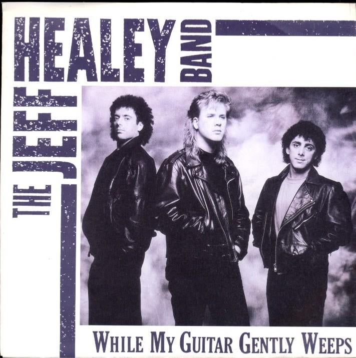 Single  -  THE JEFF HEALEY BAND, Ophalen of Verzenden, Gebruikt, Pop