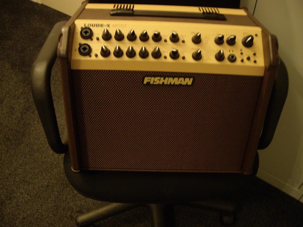 gitaarversterker accoustisch, Ophalen, Nieuw, Gitaar, 100 watt of meer