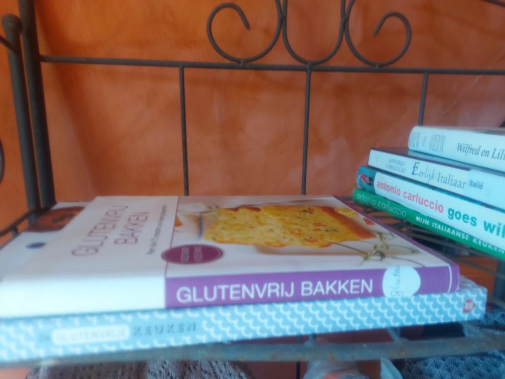 2 mooie kookboeken glutenvrij, Boeken, Ophalen of Verzenden