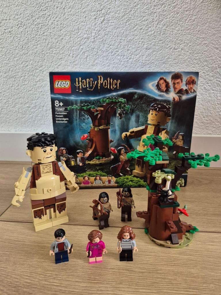 LEGO Harry Potter 75967 Verboden Bos: Omber's Ontmoeting, Lego, Harry Potter, Ophalen of Verzenden, Zo goed als nieuw