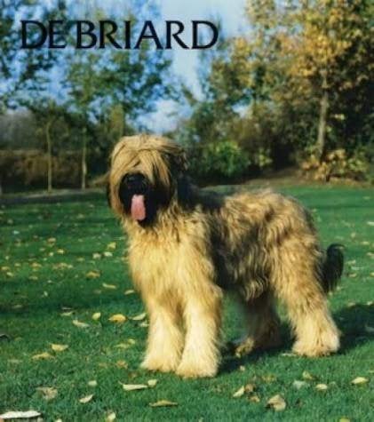 de Briard door Beenen en Rompelman boek, Verzenden, Zo goed als nieuw, Honden