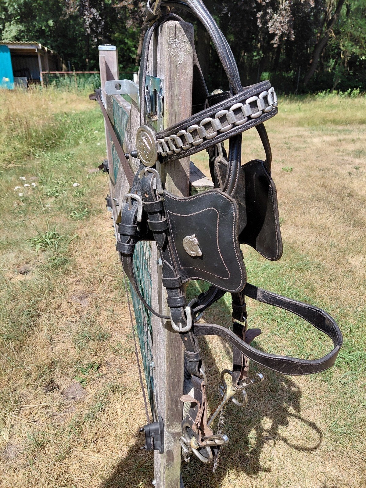 Men hoofdstel full, Dieren en Toebehoren, Paarden en Pony's | Hoofdstellen en Tuigage, Ophalen of Verzenden, Hoofdstel, Full
