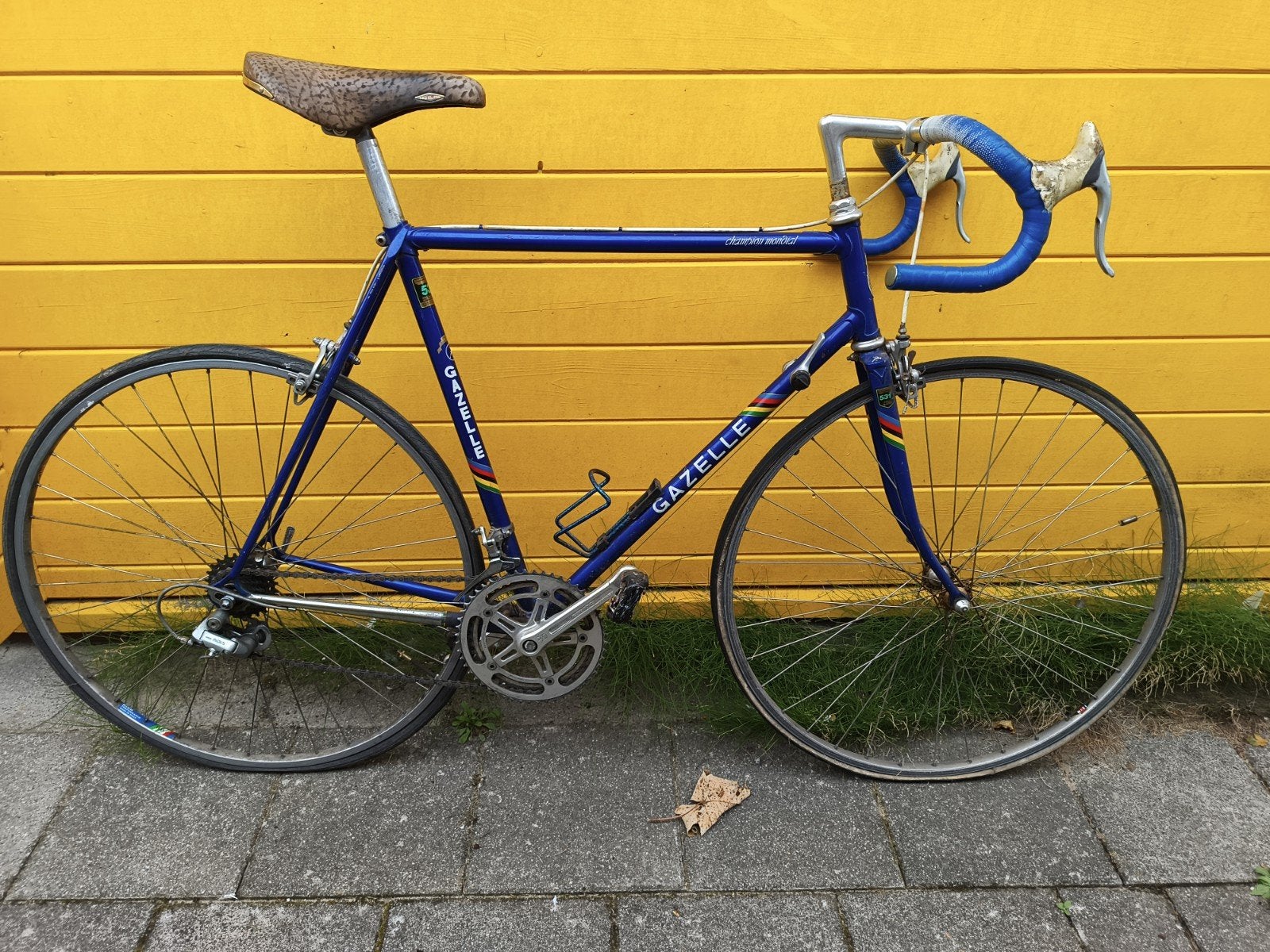Vintage Gazelle Champion Mondial AA-Frame (1978) - 58cm, Ophalen, Gebruikt, Heren, 57 tot 61 cm