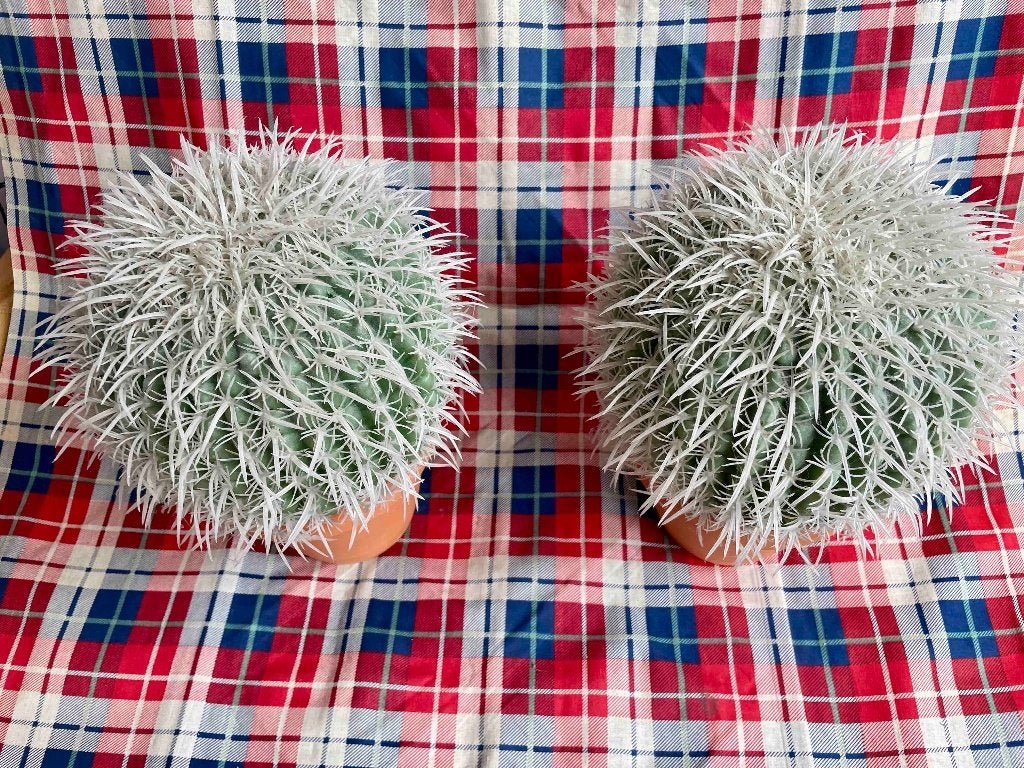grappige cactussen, Ophalen, 30 cm, Kunstplant, Kunststof