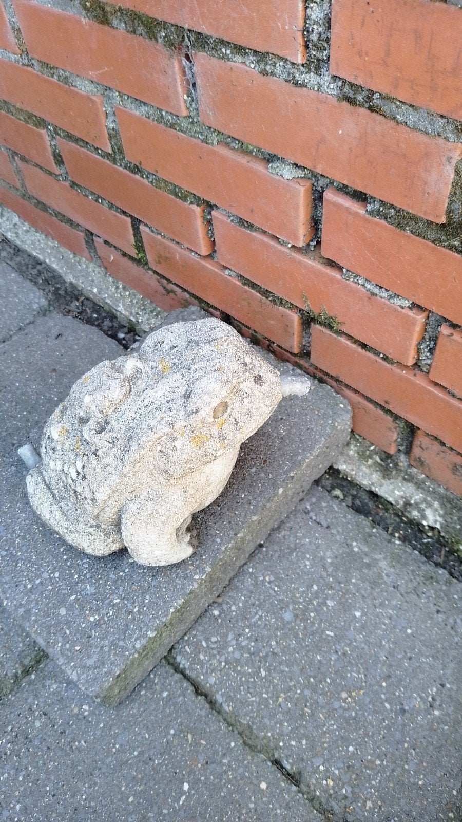 Leuke spuitfiguur kikker voor bij de vijver, Tuin en Terras, Vijvers, Ophalen