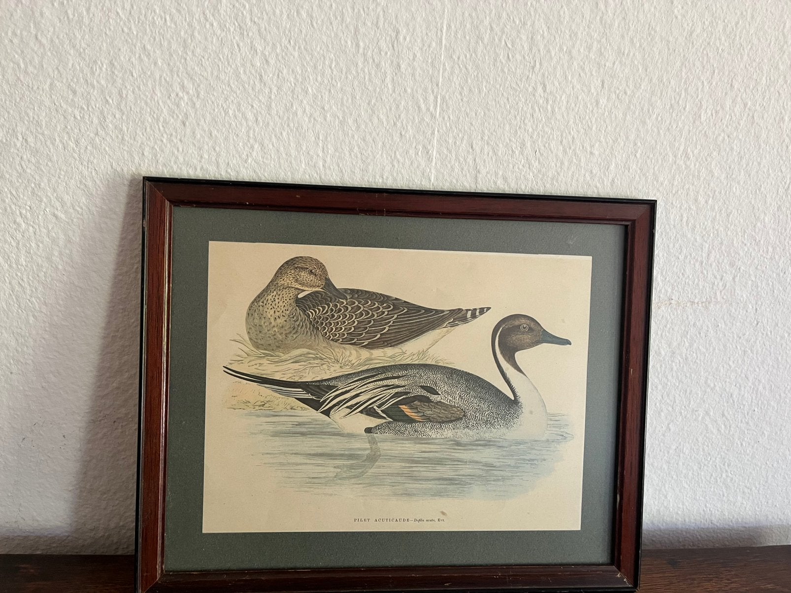 Schilderij eenden, Antiek en Kunst, Kunst | Schilderijen | Klassiek, Ophalen of Verzenden