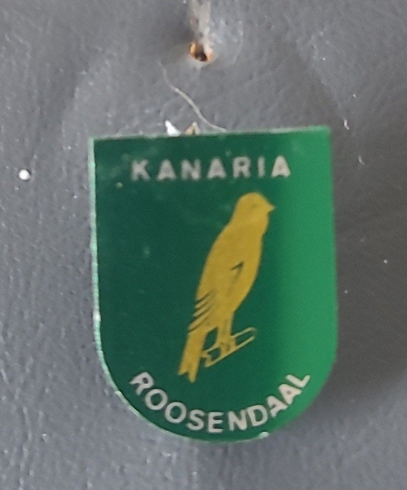 Vintage Speldje Kanaria Roosendaal - Groen met Gele Vogel, Verzamelen, Speldjes, Pins en Buttons, Verzenden, Gebruikt, Dier of Natuur