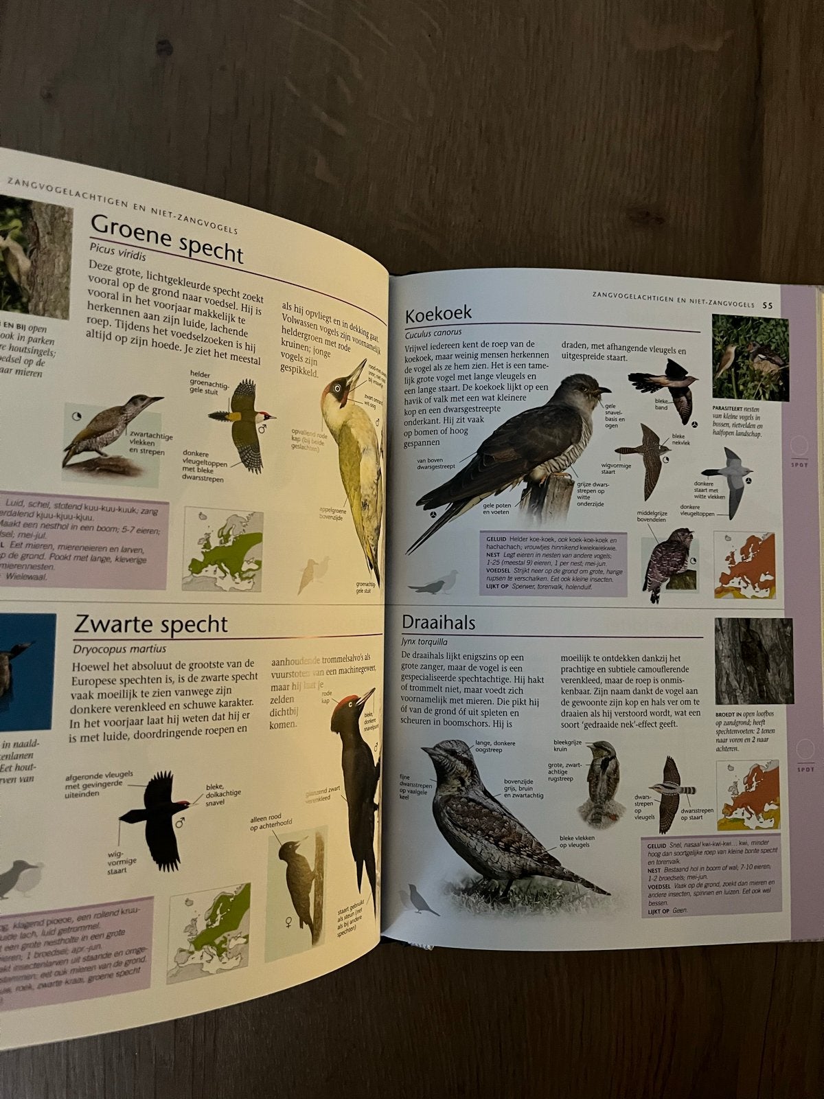 Vogels in Nederland Veldgids - Nationale Postcode Loterij, Ophalen of Verzenden, Nieuw, Vogels