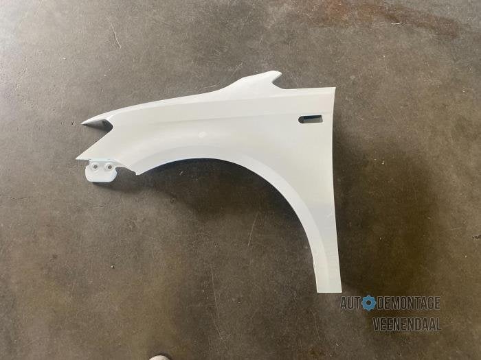 Scherm links-voor van een Volkswagen Caddy (LB9A), -, Volkswagen, -, Nieuw