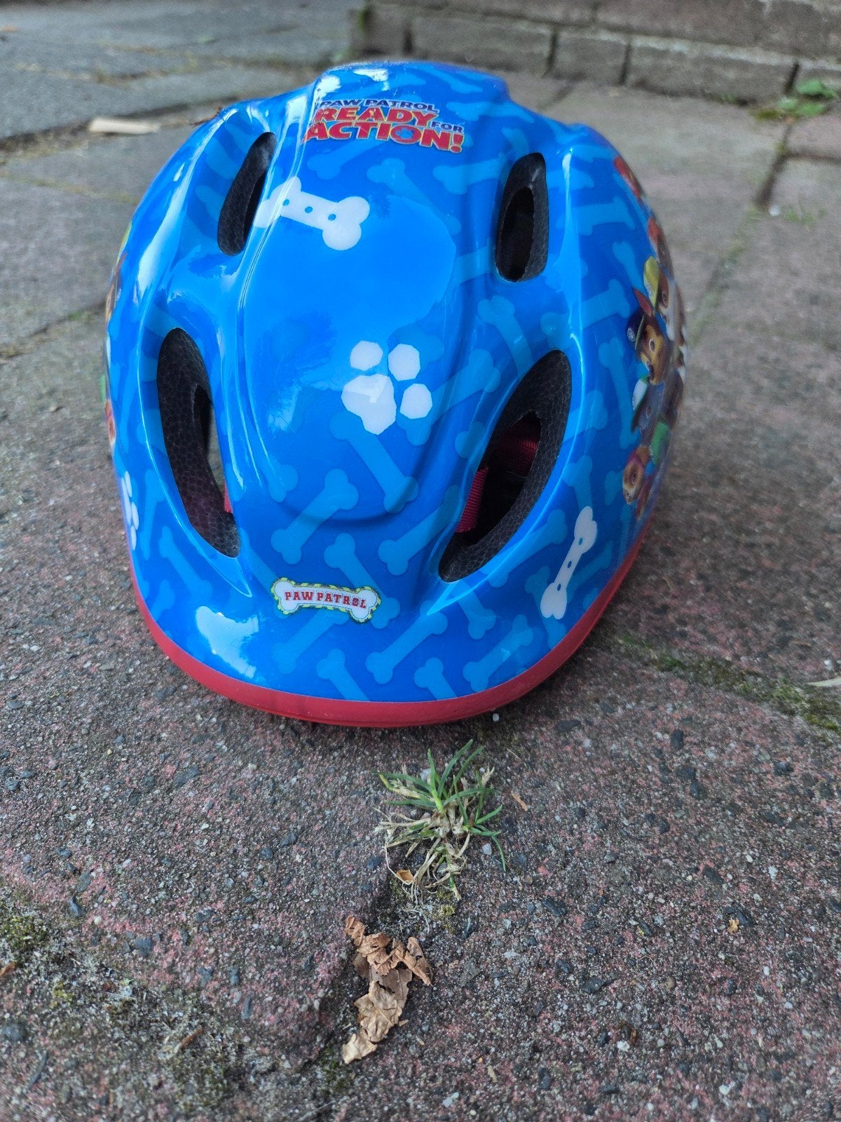 fietshelm paw patrol, Ophalen