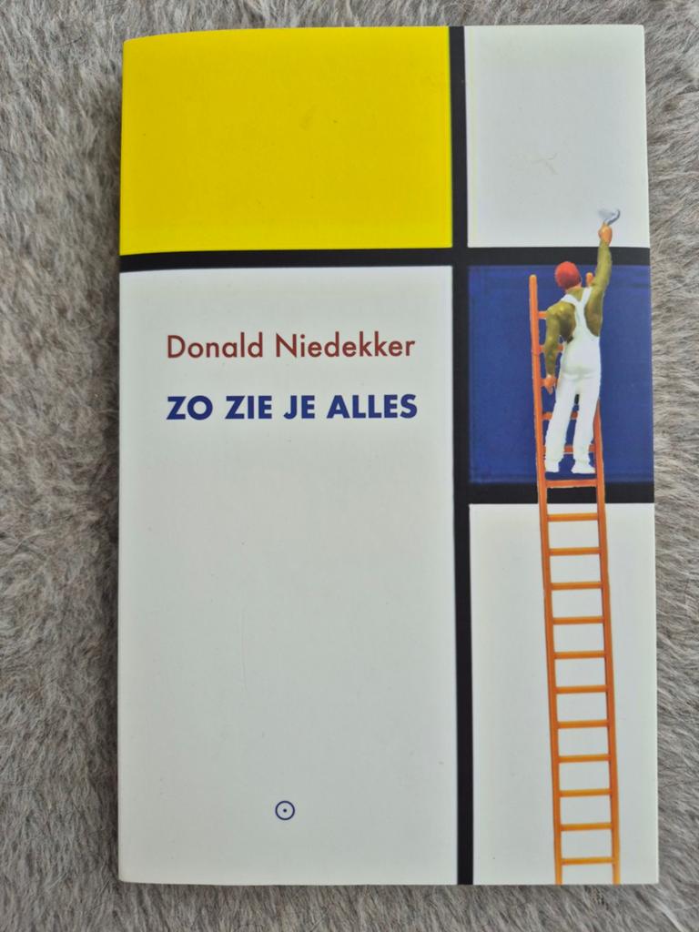 Zo zie je alles | Donald Niedekker | roman, Boeken, Ophalen of Verzenden, Zo goed als nieuw, Nederland, Donald Niedekker