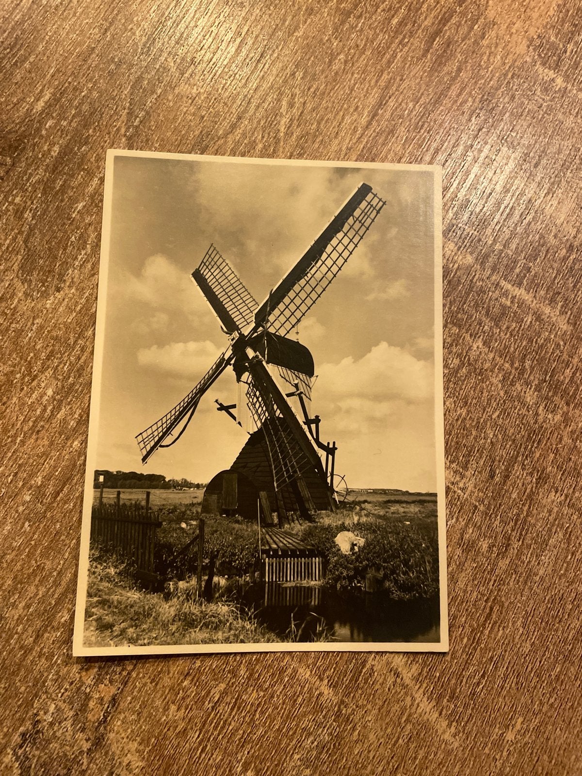 Oegstgeest: Kleine wipwatermolen - Zeldzame ansichtkaart, Ophalen of Verzenden, Gelopen, Zuid-Holland