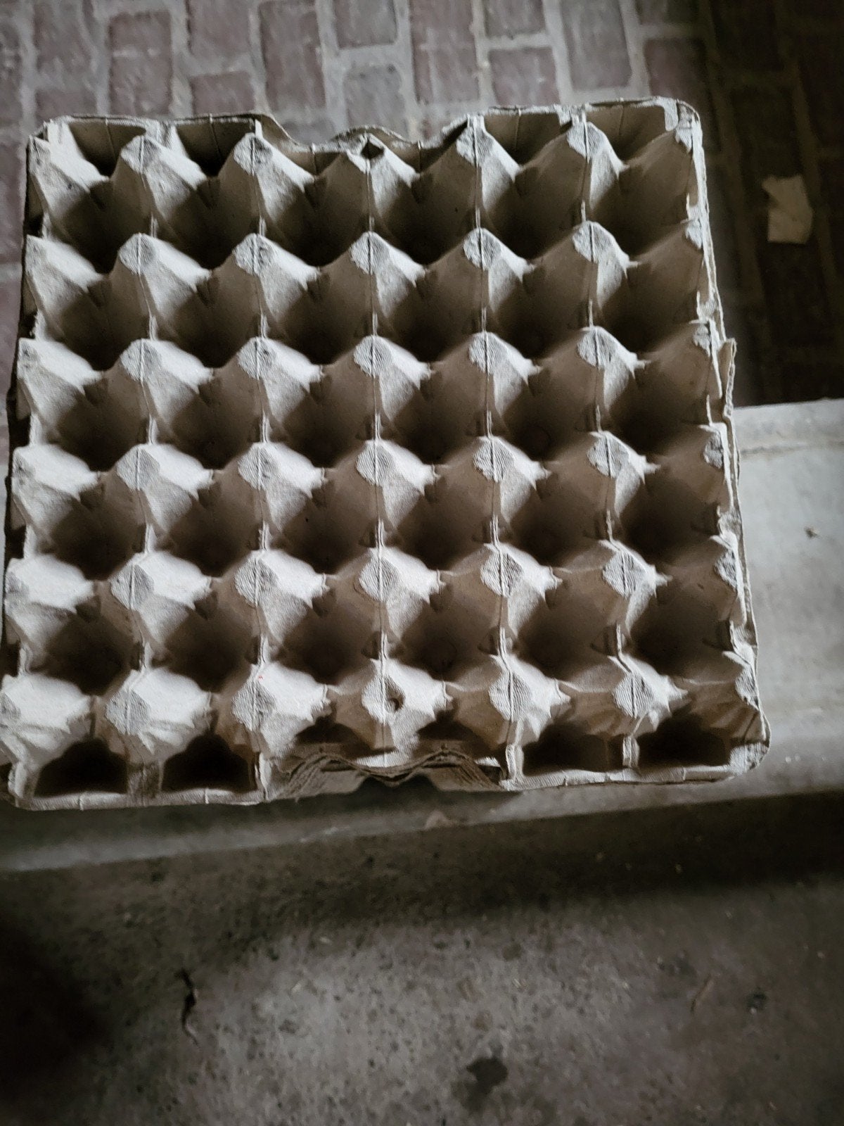te koop 100 eiere tray s, Ophalen of Verzenden, Drinken en Voederen