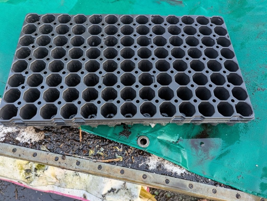 Zaai- en stektrays    stek trays zaaitrays, Ophalen of Verzenden, Gebruikt, Kweekbak