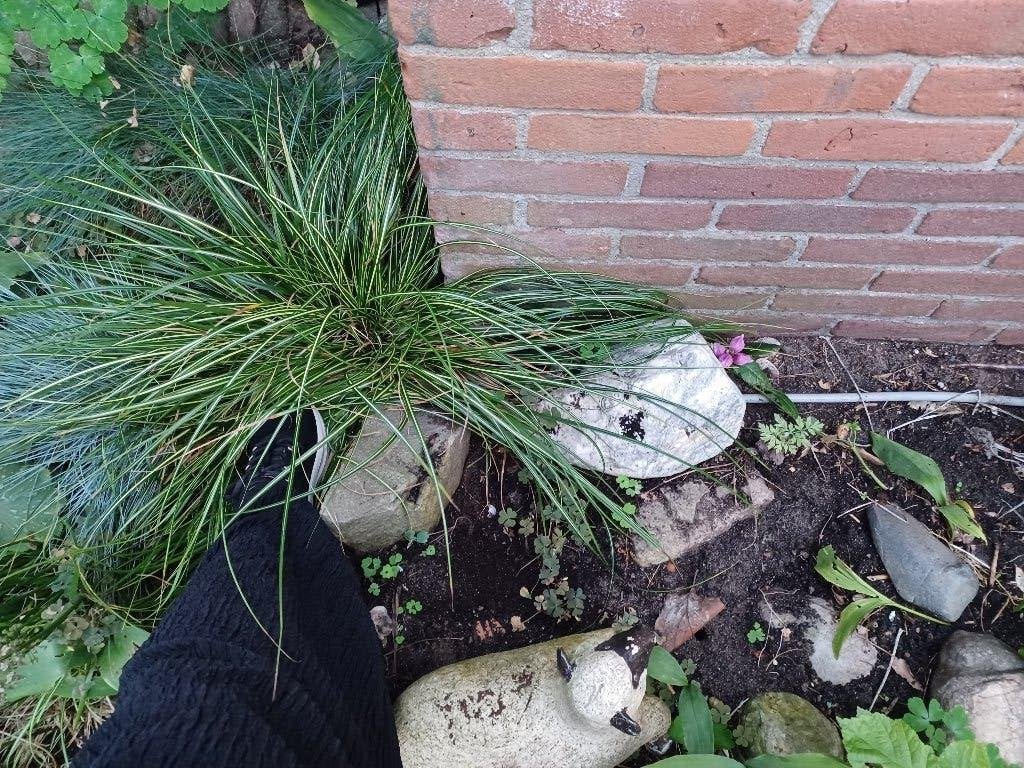 zwerfkeien, Tuin en Terras, Ophalen, Overige materialen, Gebruikt, Kei