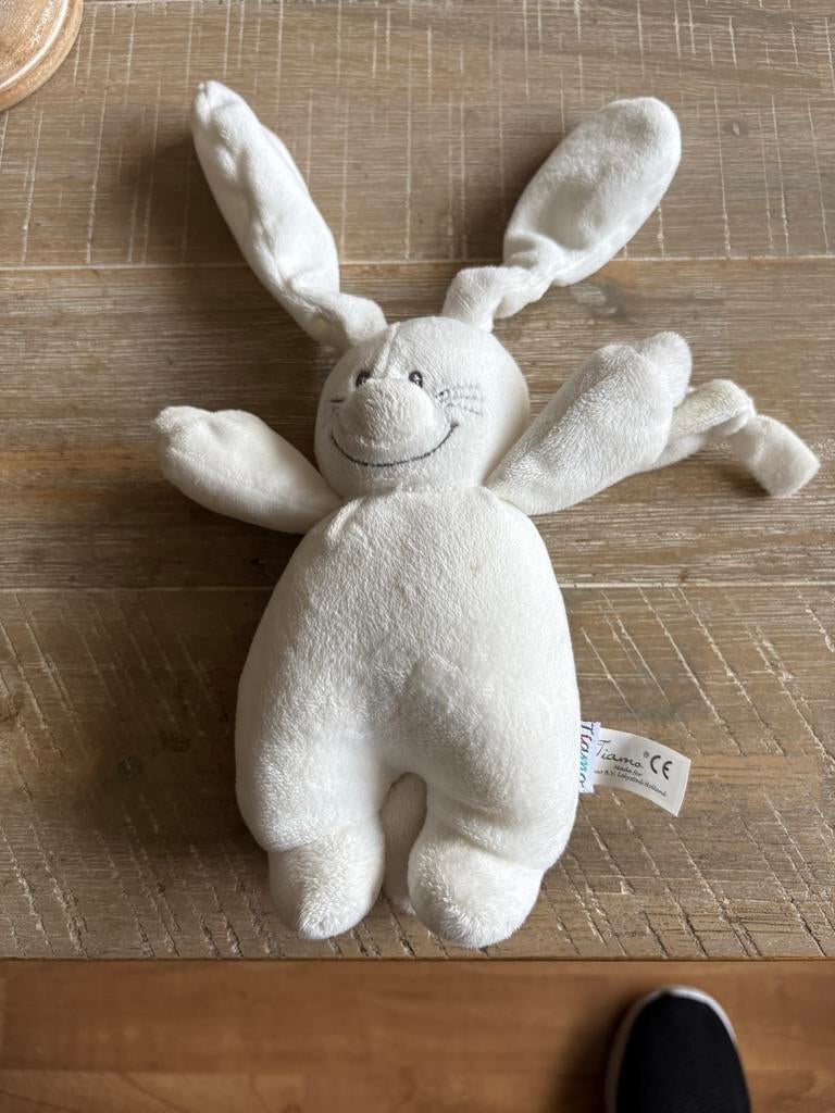 Knuffel konijn met muziektrekkoord, Ophalen of Verzenden, Gebruikt, Konijn