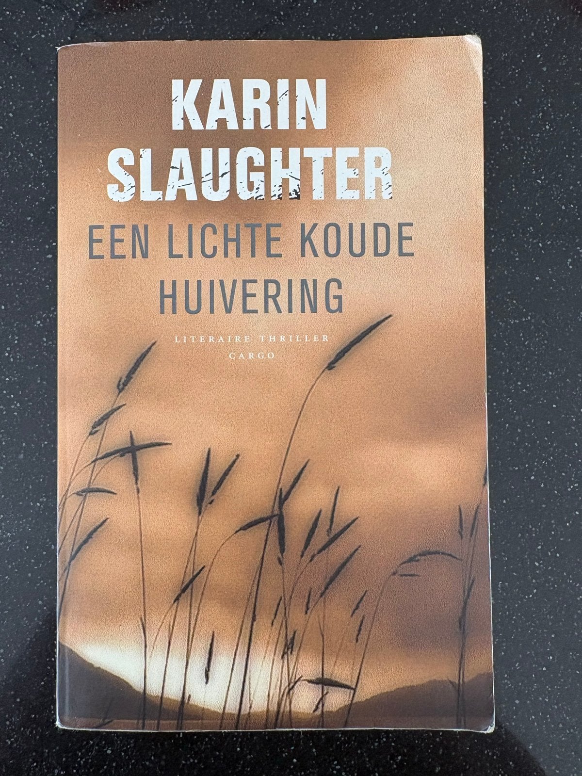 Karin Slaughter - Een Lichte Koude Huivering (Literaire Thri, Boeken, Ophalen of Verzenden, Zo goed als nieuw, Nederland