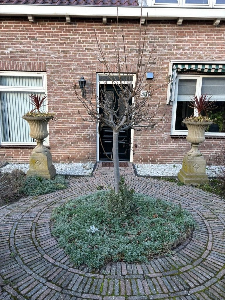 Tuinvazen op kolom, Tuin en Terras, Tuinvazen, Ophalen, Gebruikt