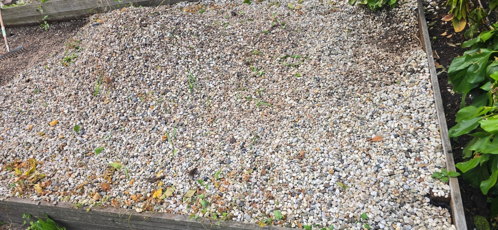 Siergrind voor tuin of oprit, Tuin en Terras, Grind, Keien en Split, Ophalen, Overige materialen, Gebruikt, Grind
