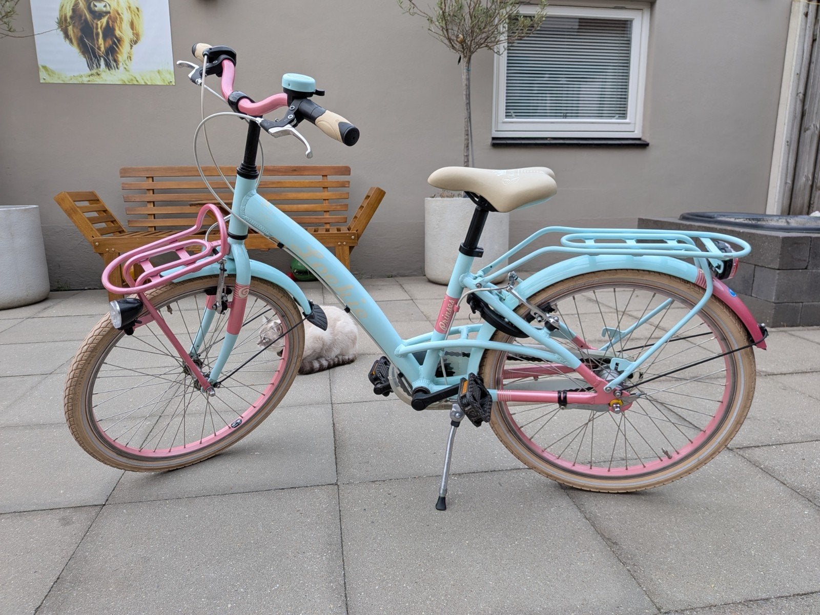 Loekie Royal Bike prinses kinderfiets 22 inch - Zo goed als, Ophalen, Zo goed als nieuw, 20 inch, Versnellingen