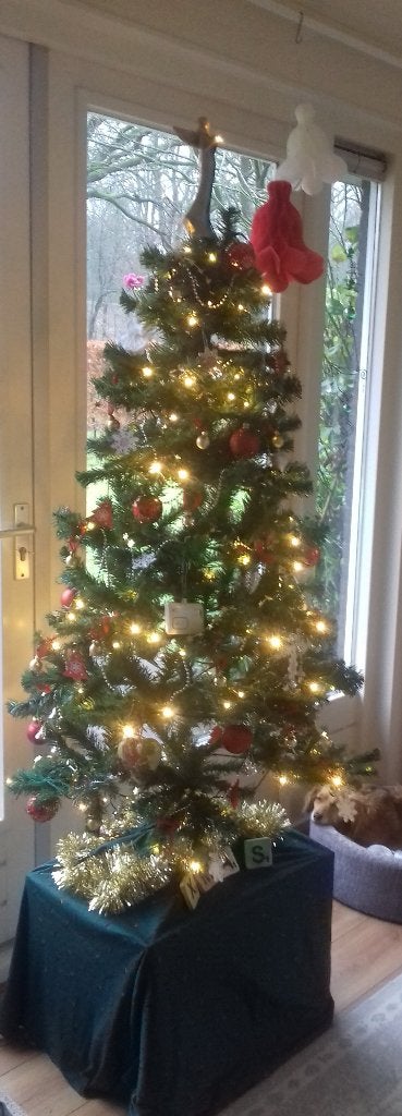 Kerstboom, Diversen, Kerst, Ophalen, Zo goed als nieuw