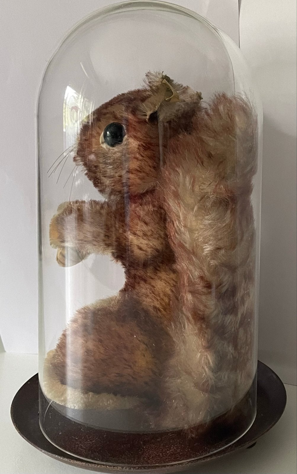 Vintage Eekhoorn in Glazen Stolp - Uniek Decoratiestuk, Ophalen of Verzenden