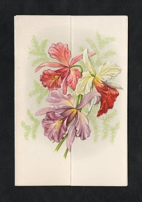 Telegram Orchidee Gelukwens Veel Geluk Ongebruikt., Verzamelen, Ophalen of Verzenden, 1920 tot 1940, Ongelopen, Cultuur en Media