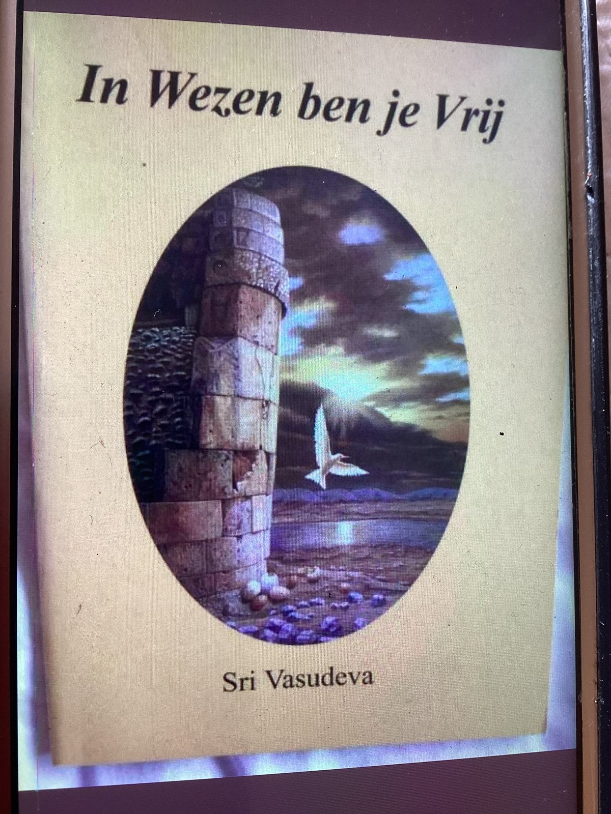 In Wezen ben je Vrij., Achtergrond en Informatie, Spiritualiteit algemeen, Ophalen of Verzenden, Zo goed als nieuw