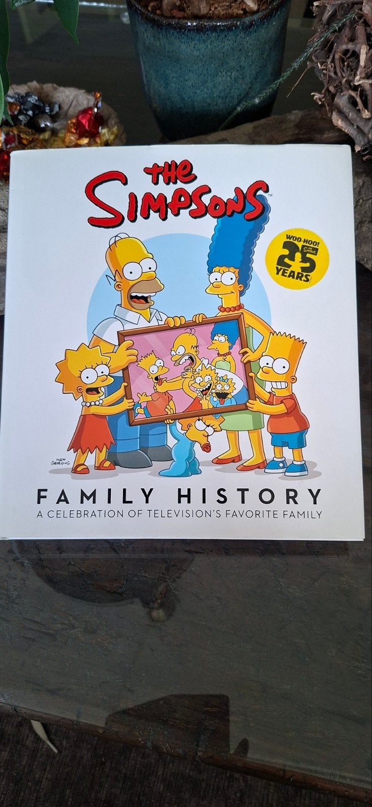 25 years family history The Simpsons jubileum boek, Ophalen of Verzenden
