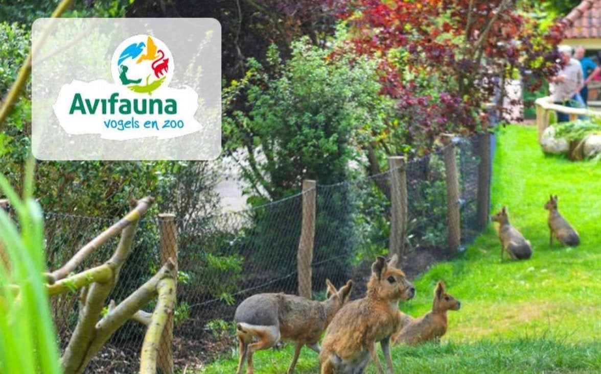 Vogelpark Avifauna, Tickets en Kaartjes, Eén persoon, Ticket of Toegangskaart
