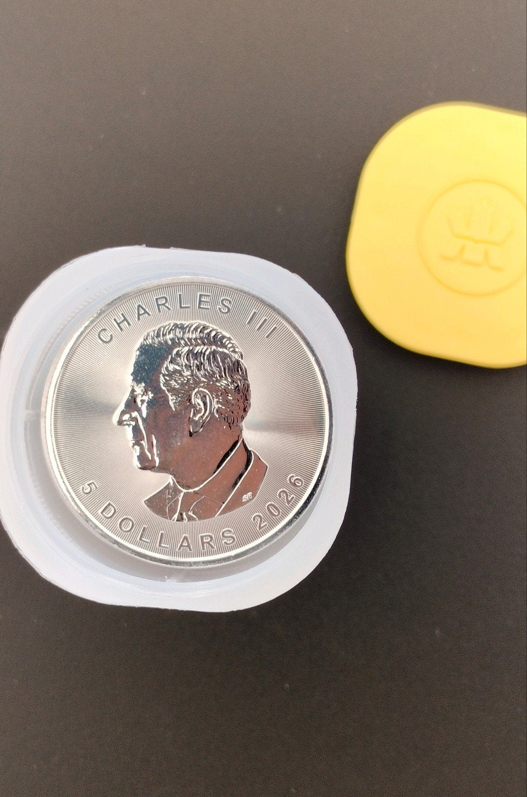 Maple Leaf 2026 , 25 stuks 1 oz. zilveren munten in Tube, Ophalen of Verzenden, Zilver