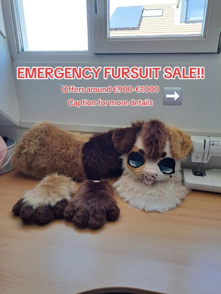 Fursuit, Verzenden
