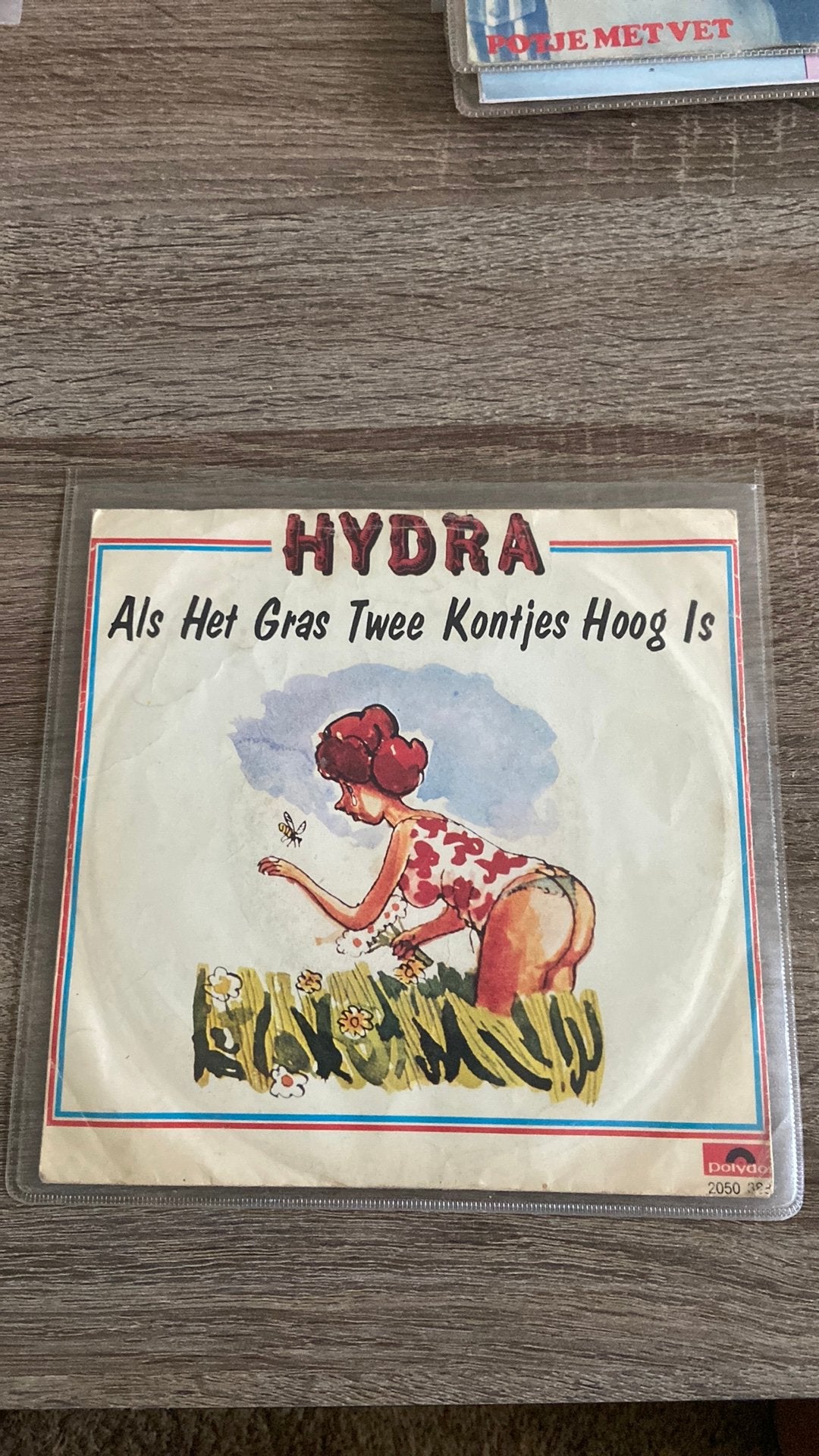 Hydra - als het gras twee kontjes hoog is ., Cd's en Dvd's, Vinyl | Nederlandstalig, Ophalen of Verzenden, Zo goed als nieuw, Overige formaten